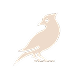 Minimalist illustration of a bird perched on a branch, drawn in muted beige tones against a plain white background—perfect décor for off campus apartments TAMU. Text beneath the bird reads “Tweet cute.”.